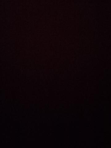 Индивидуалка Ника Фотография 2
